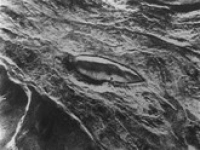 aerial view of ark
